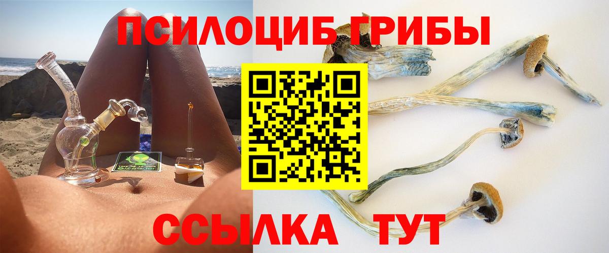 Карталы  Галлюциногенные грибы мицелий  Вход с VPN 