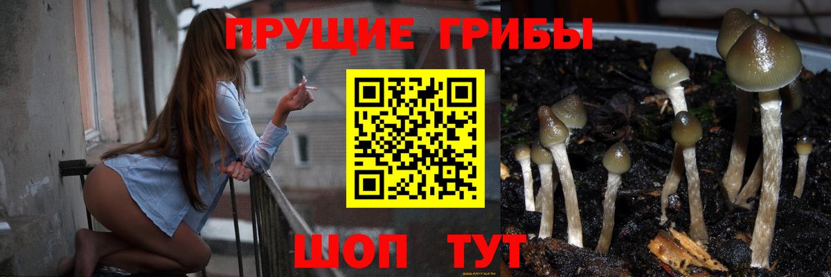 Галлюциногенные грибы Magic Shrooms Карталы