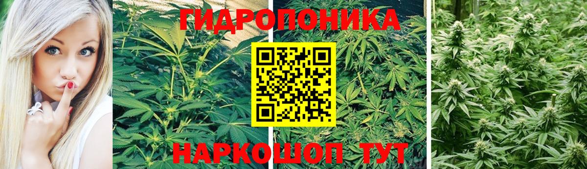 Канабис LSD WEED  Марихуана семена  Карталы  Вход с VPN  Каннабис ГИДРОПОН 